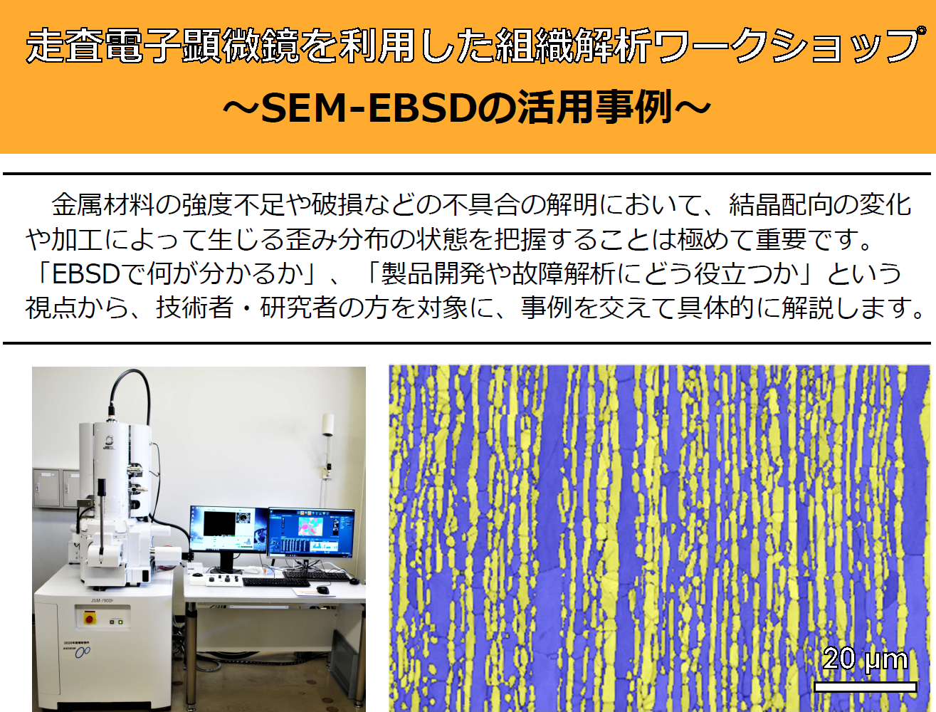 走査電子顕微鏡を利用した組織解析ワークショップ～SEM-EBSDの活用事例～